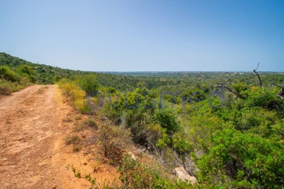 Terreno Agricola ou Rústico para Venda em Boliqueime
