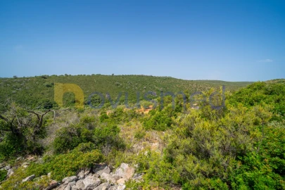 Terreno Agricola ou Rústico para Venda em Boliqueime
