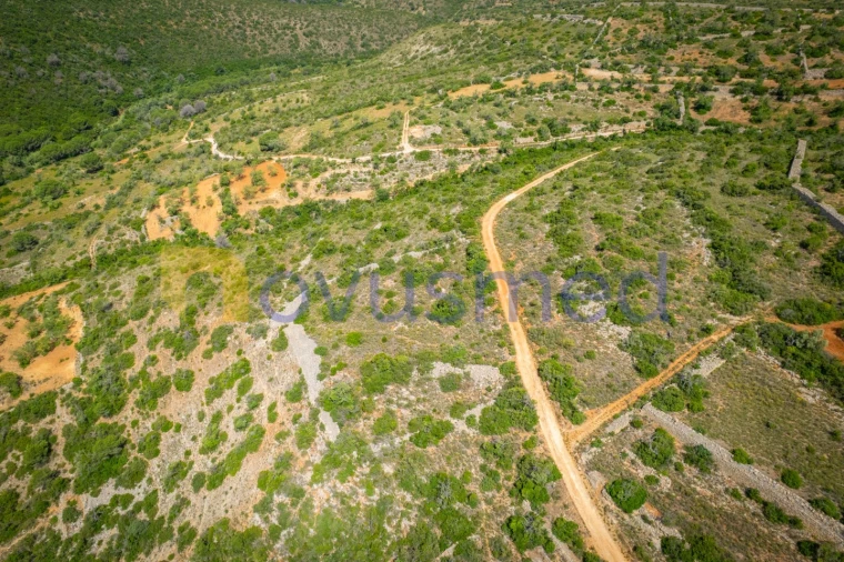 Terreno Agricola ou Rústico para Venda em Boliqueime Foto 6