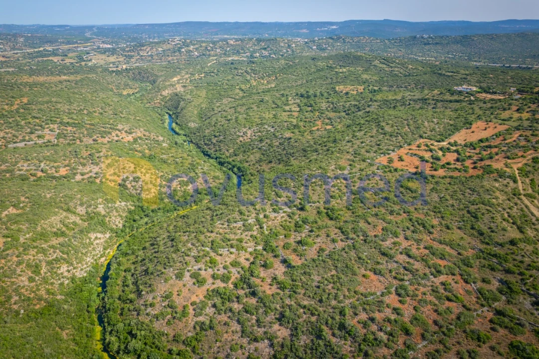 Terreno Agricola ou Rústico para Venda em Paderne Foto 3