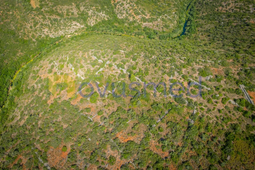 Terreno Agricola ou Rústico para Venda em Paderne Foto 6