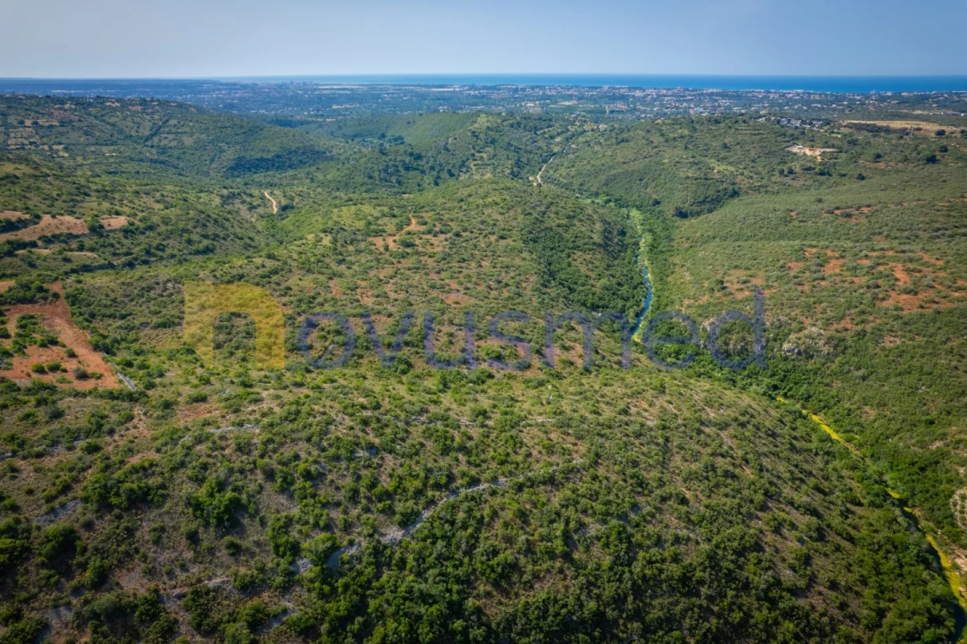 Terreno Agricola ou Rústico para Venda em Paderne Foto 9