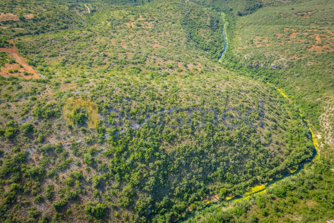 Terreno Agricola ou Rústico para Venda em Paderne Foto 10