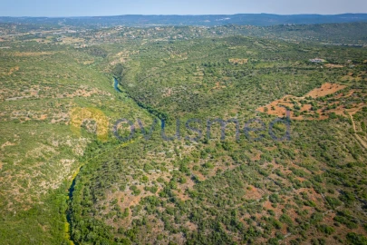 Terreno Agricola ou Rústico para Venda em Paderne