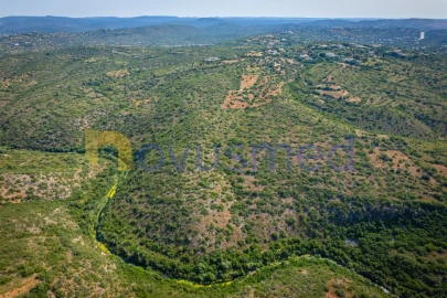 Terreno Agricola ou Rústico para Venda em Paderne