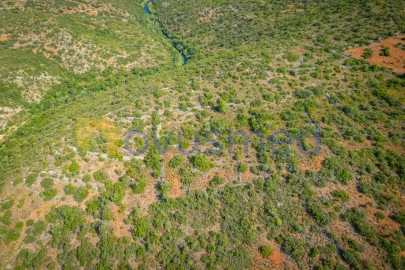 Terreno Agricola ou Rústico para Venda em Paderne