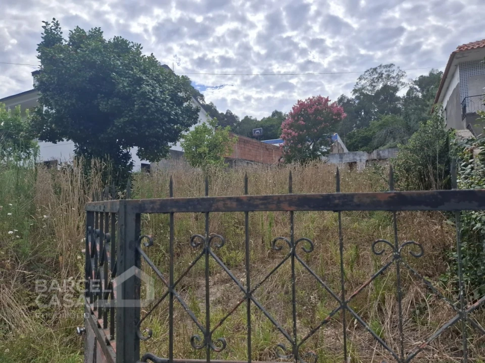 Terreno para Venda em Alheira e Igreja Nova Foto 3