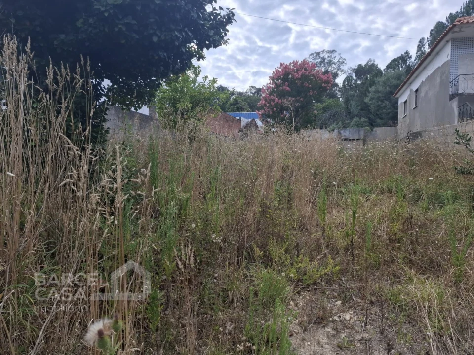 Terreno para Venda em Alheira e Igreja Nova Foto 4