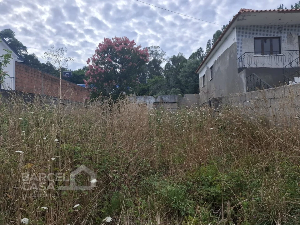 Terreno para Venda em Alheira e Igreja Nova Foto 5
