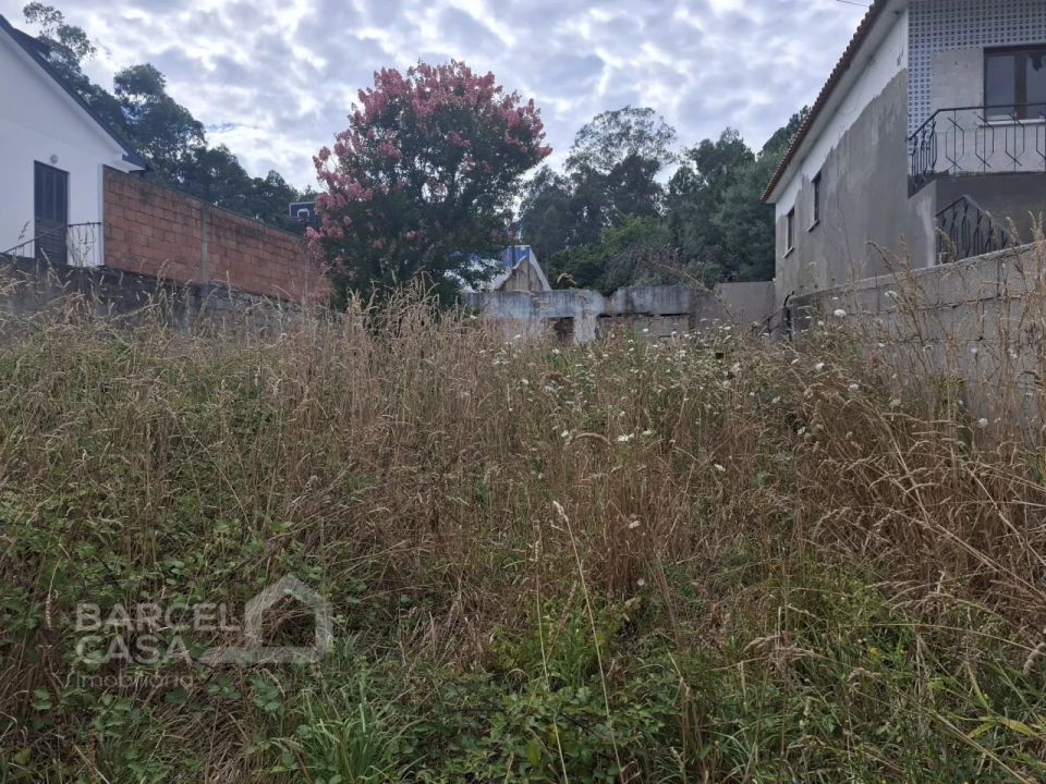 Terreno para Venda em Alheira e Igreja Nova Foto 6