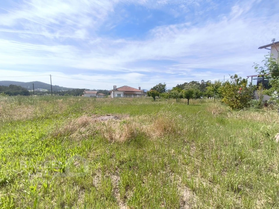 Moradia T3 para Venda em Airo Foto 44