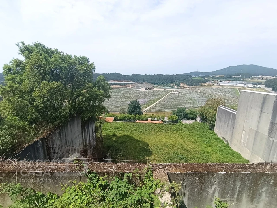 Terreno para Venda em Abade de Neiva Foto 3