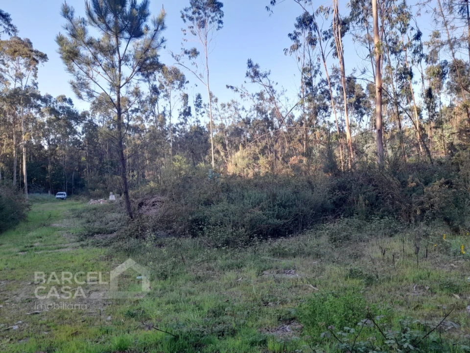 Terreno Comércio / Armazém para Venda em Vila Chã Foto 5