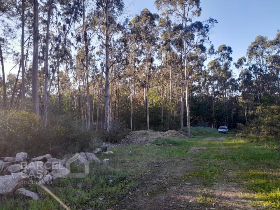 Terreno Comércio / Armazém para Venda em Vila Chã Foto 7