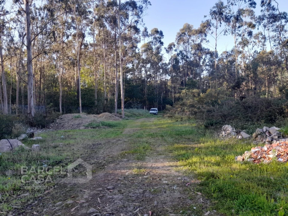 Terreno Comércio / Armazém para Venda em Vila Chã Foto 8