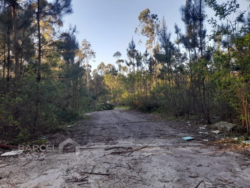 Terreno Comércio / Armazém para Venda em Vila Chã Foto 9