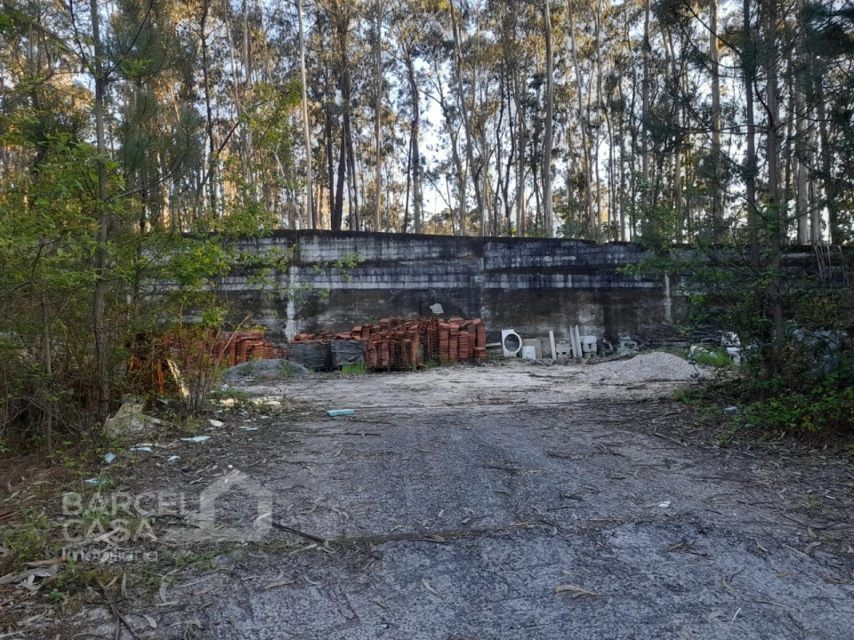Terreno Comércio / Armazém para Venda em Vila Chã Foto 10