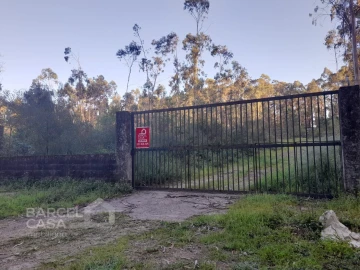 Terreno Comércio / Armazém para Venda em Vila Chã