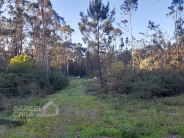 Terreno Comércio / Armazém para Venda em Vila Chã