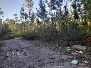Terreno Comércio / Armazém para Venda em Vila Chã