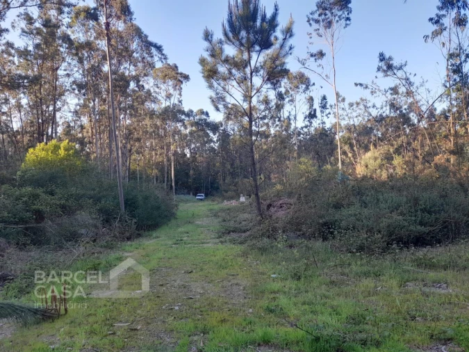 Terreno Comércio / Armazém para Venda em Vila Chã Foto 4