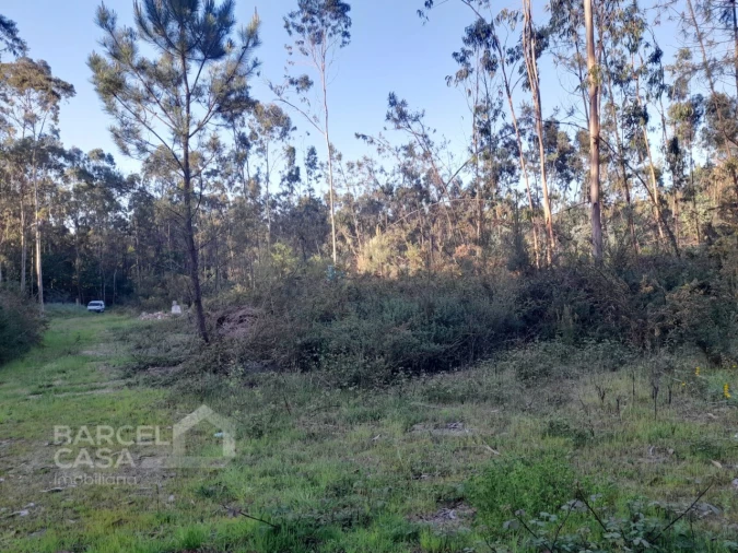 Terreno Comércio / Armazém para Venda em Vila Chã Foto 5