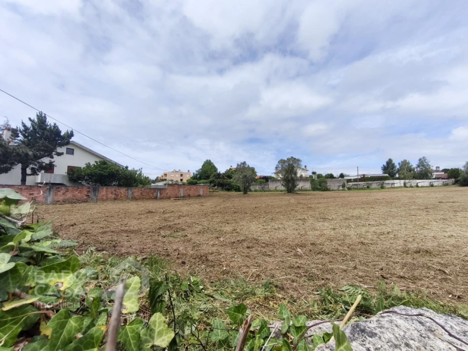 Terreno para Venda em Forjães Foto 2
