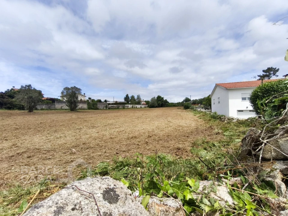 Terreno para Venda em Forjães Foto 3