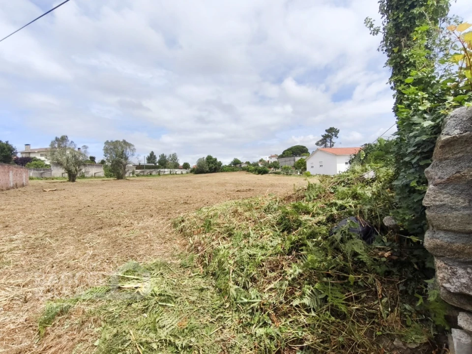 Terreno para Venda em Forjães Foto 4