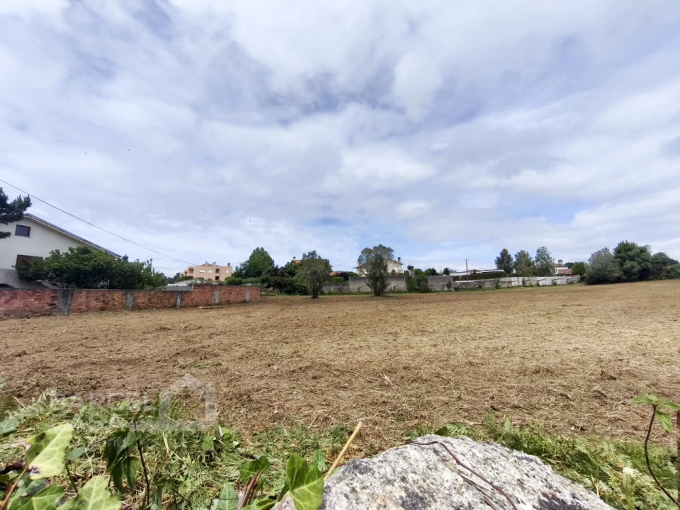 Terreno para Venda em Forjães Foto 5