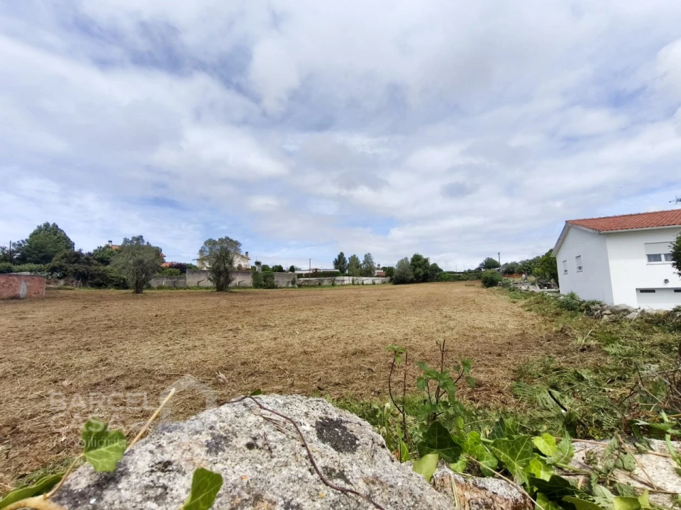 Terreno para Venda em Forjães Foto 6
