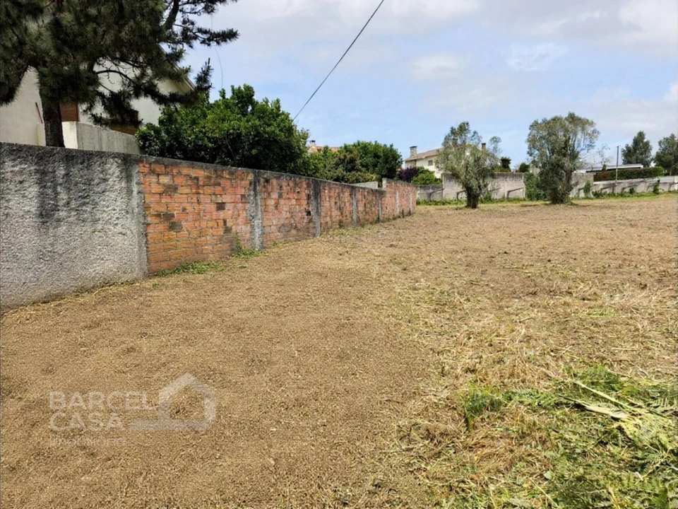Terreno para Venda em Forjães Foto 7