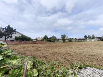 Terreno para Venda em Forjães