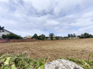 Terreno para Venda em Forjães