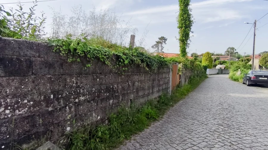 Terreno para Venda em Forjães