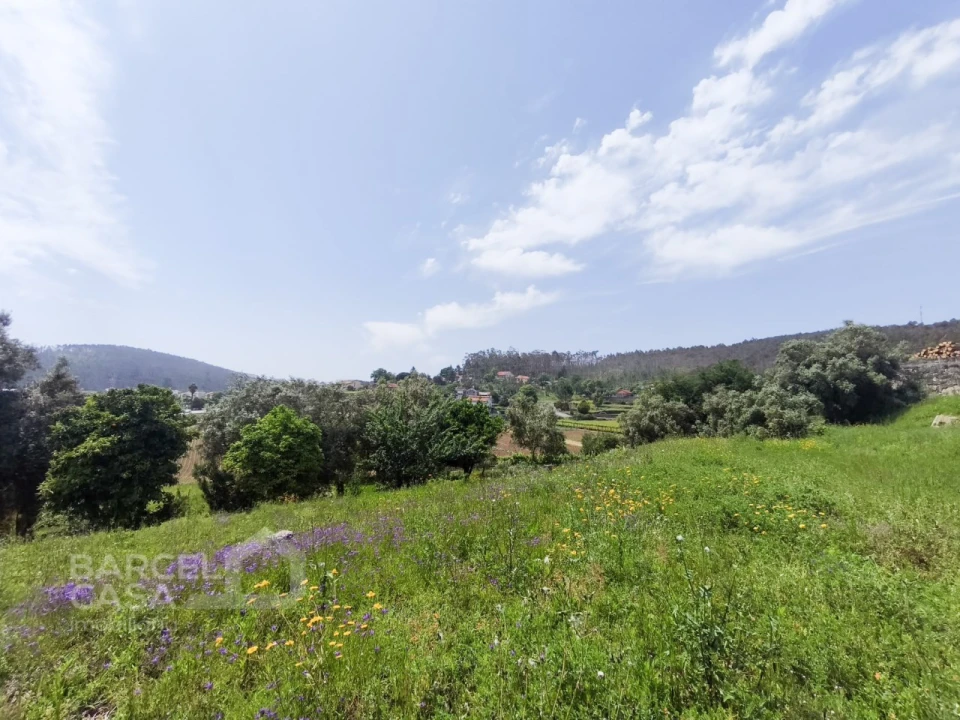 Moradia T4 para Venda em Vila Cova e Feitos Foto 9