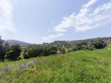 Moradia T4 para Venda em Vila Cova e Feitos