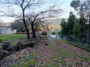 Terreno para Venda em Alheira e Igreja Nova