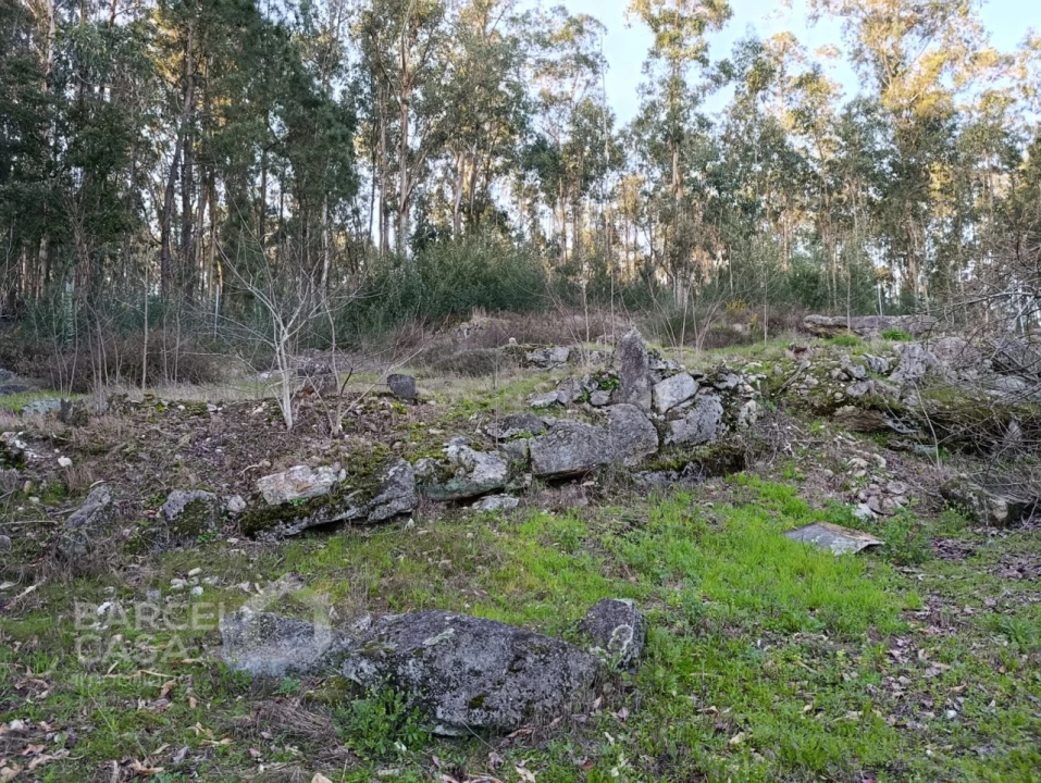 Moradia T1 para Venda em Alheira e Igreja Nova Foto 5