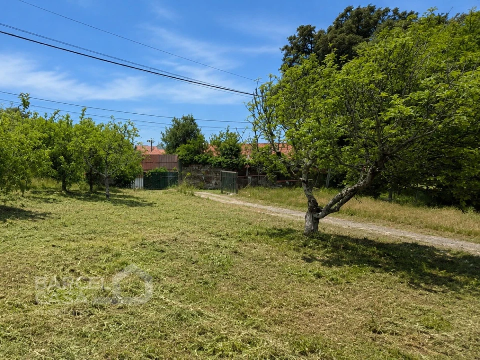 Moradia T4 para Venda em Palmeira de Faro e Curvos Foto 22