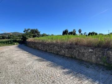 Terreno para Venda em Campo e Tamel (São Pedro Fins)