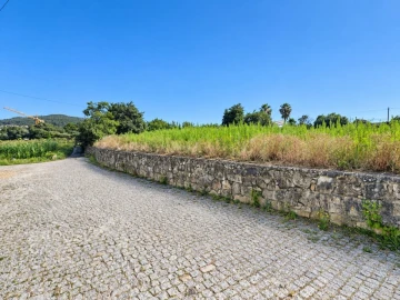 Terreno para Venda em Campo e Tamel (São Pedro Fins)