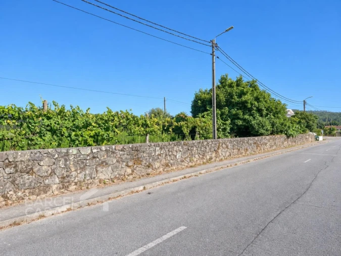 Terreno para Venda em Campo e Tamel (São Pedro Fins) Foto 3