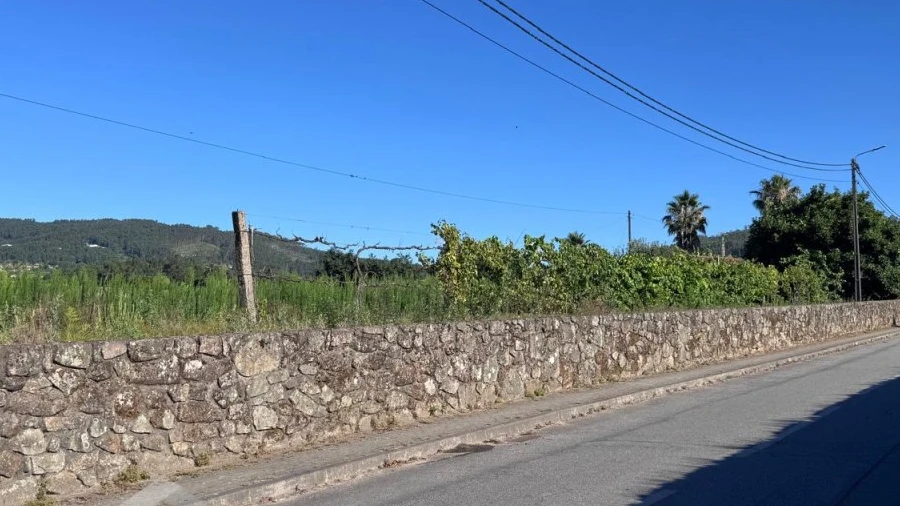 Terreno para Venda em Campo e Tamel (São Pedro Fins)