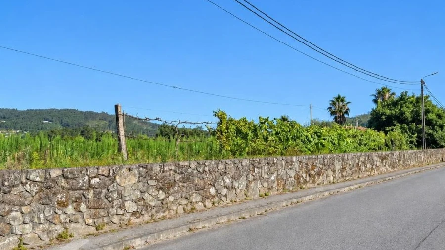 Terreno para Venda em Campo e Tamel (São Pedro Fins)