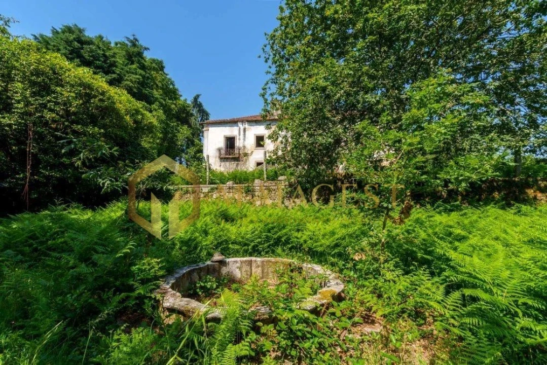 Quinta T10 para Venda em Vila de Cucujães Foto 13