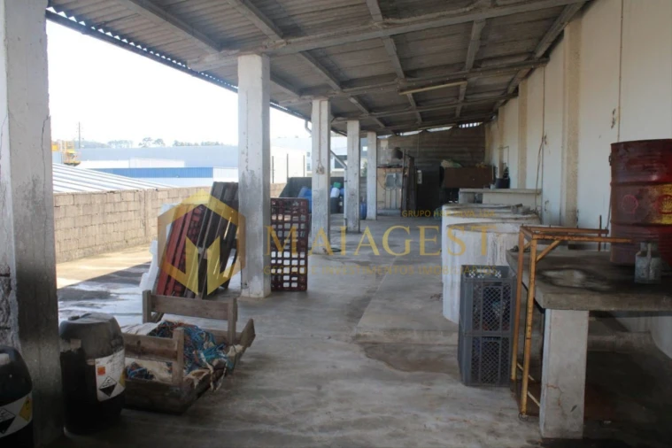 Armazém para Arrendamento em Lourosa Foto 18