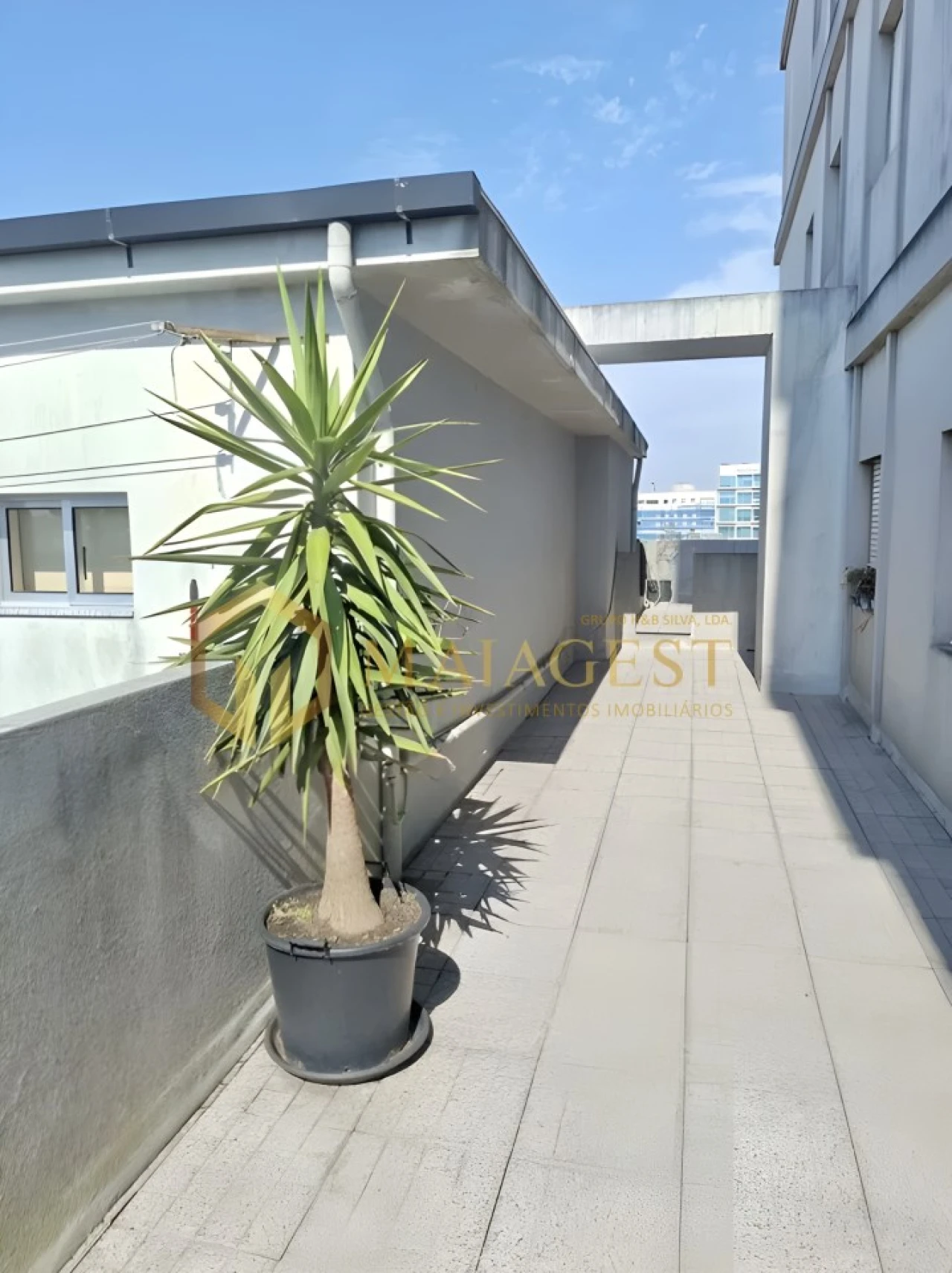 Apartamento T1 para Venda em Mafamude e Vilar do Paraíso Foto 11