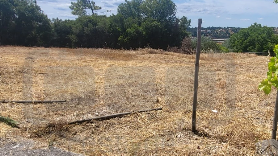 Terreno para Venda em Carregueiros