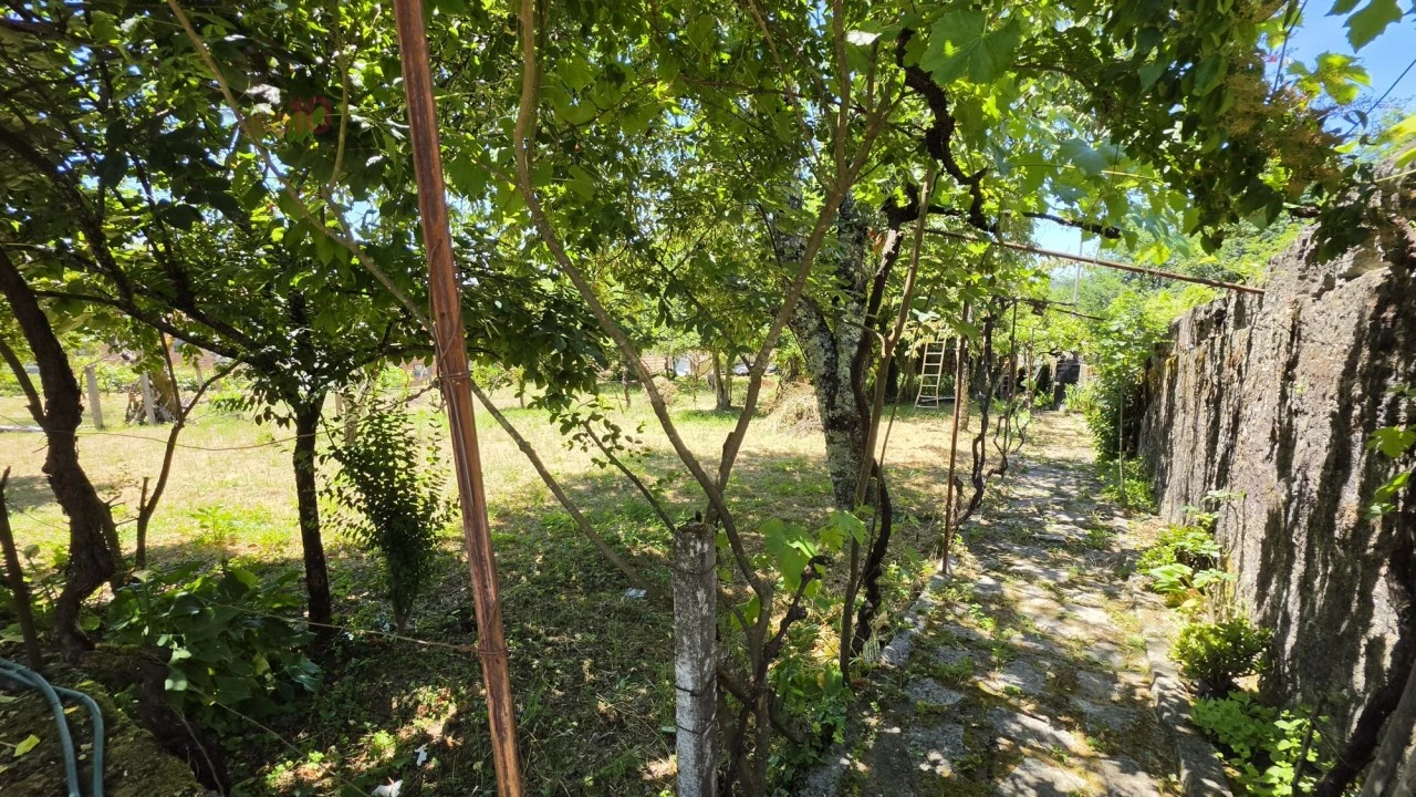 Moradia T6 para Venda em Castro Daire Foto 48